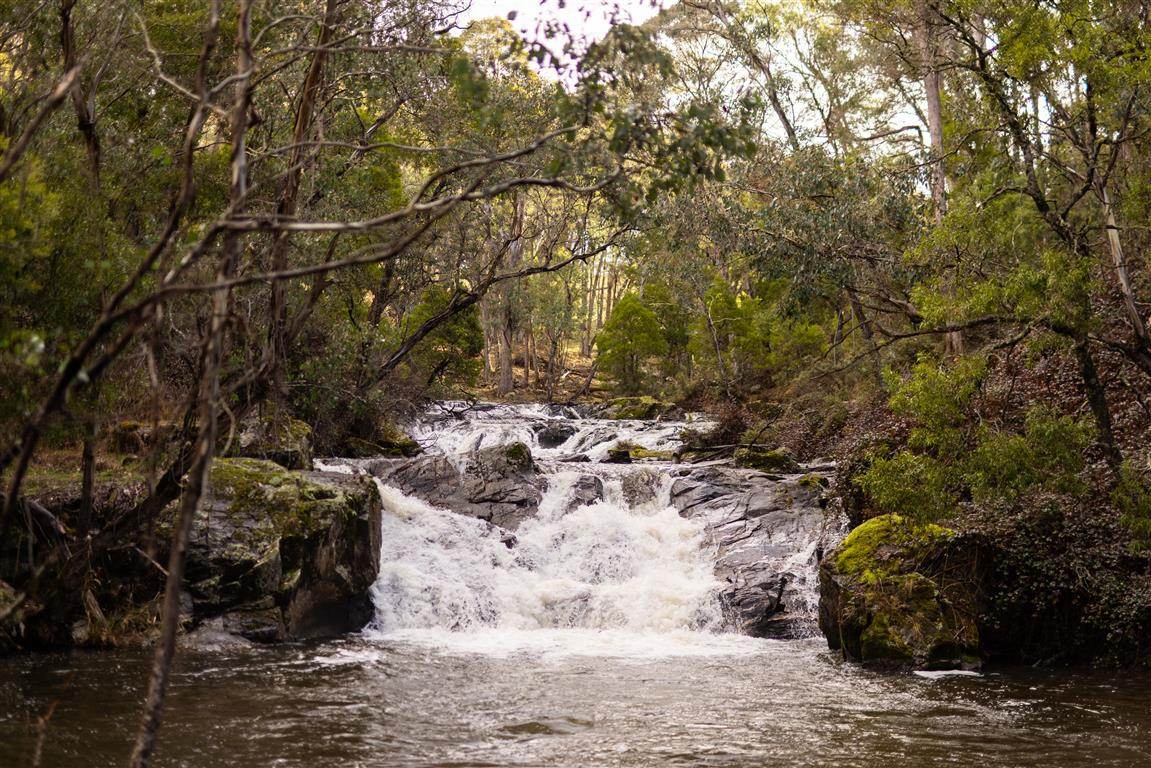 164 Keenans Road, Batlow For Sale by Farmbuy.com - image 8