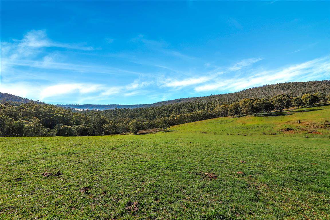 164 Keenans Road, Batlow For Sale by Farmbuy.com - image 6
