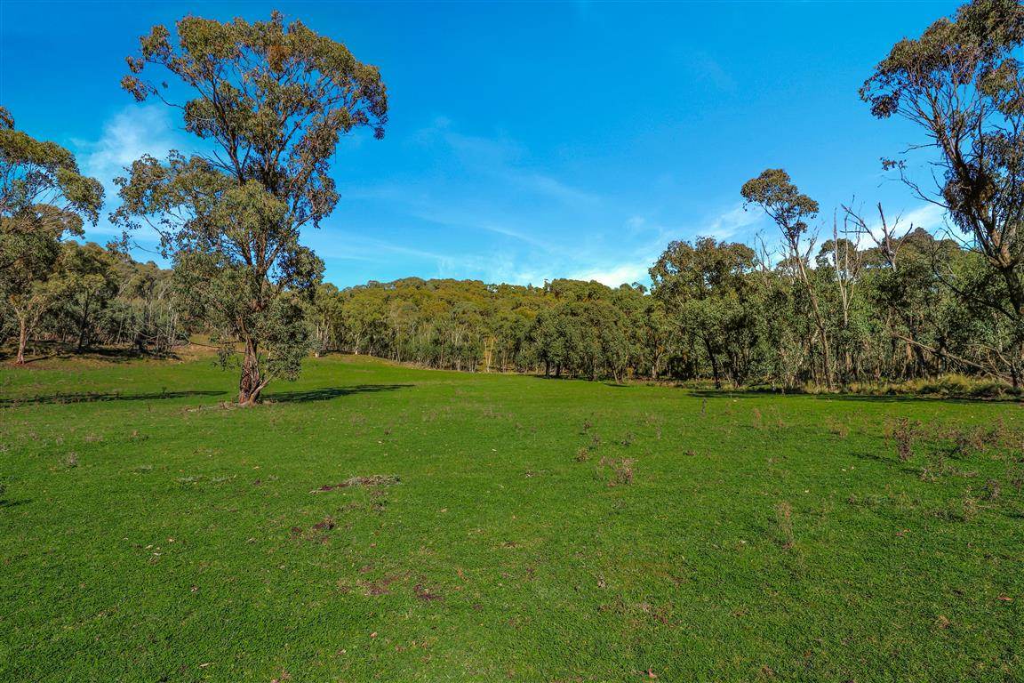 164 Keenans Road, Batlow For Sale by Farmbuy.com - image 12