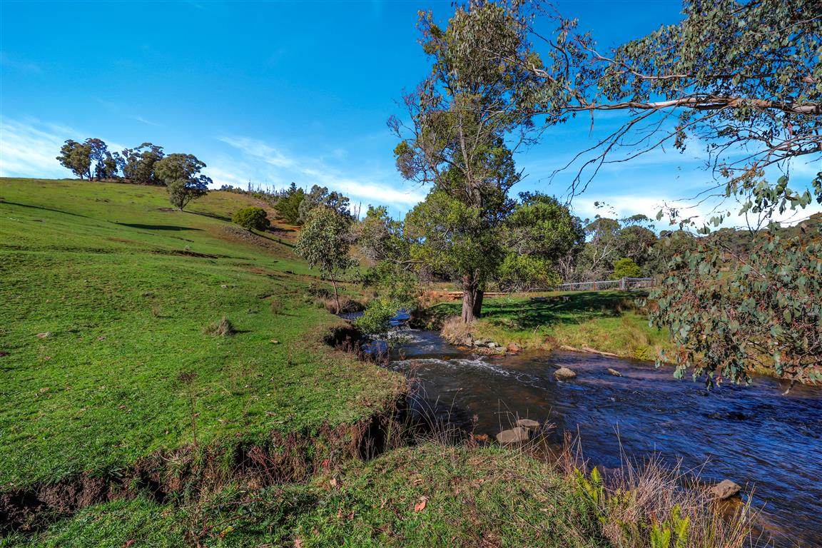 164 Keenans Road, Batlow For Sale by Farmbuy.com - image 16