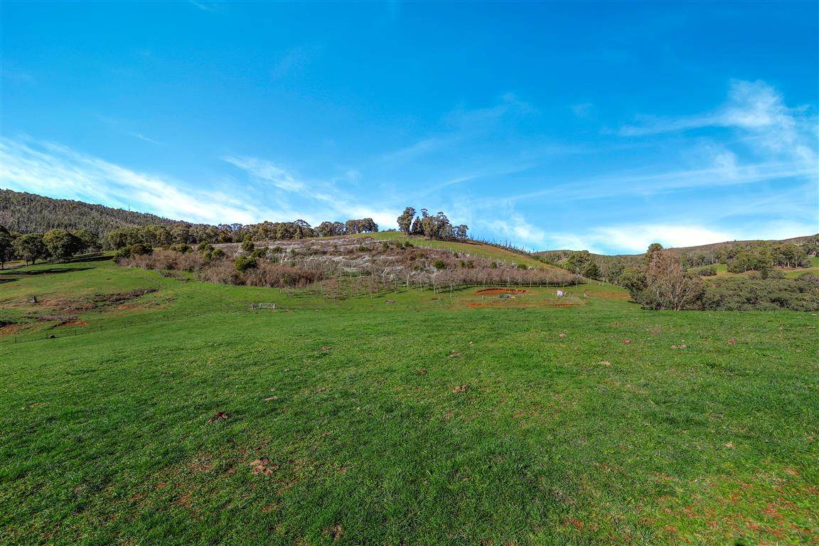 164 Keenans Road, Batlow For Sale by Farmbuy.com - image 10