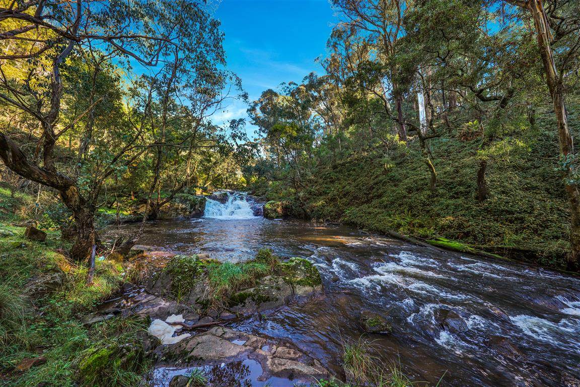 164 Keenans Road, Batlow For Sale by Farmbuy.com - image 14