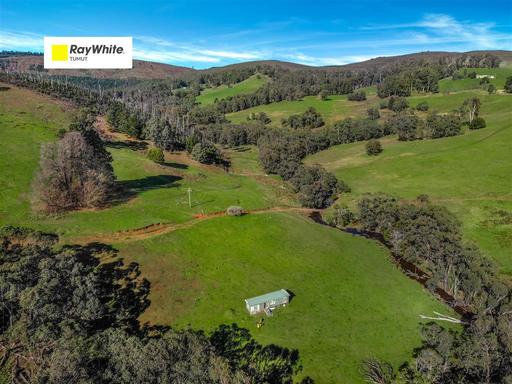 Farm For Sale - NSW - Batlow - 2730 - Gilmore Creek Frontage! 