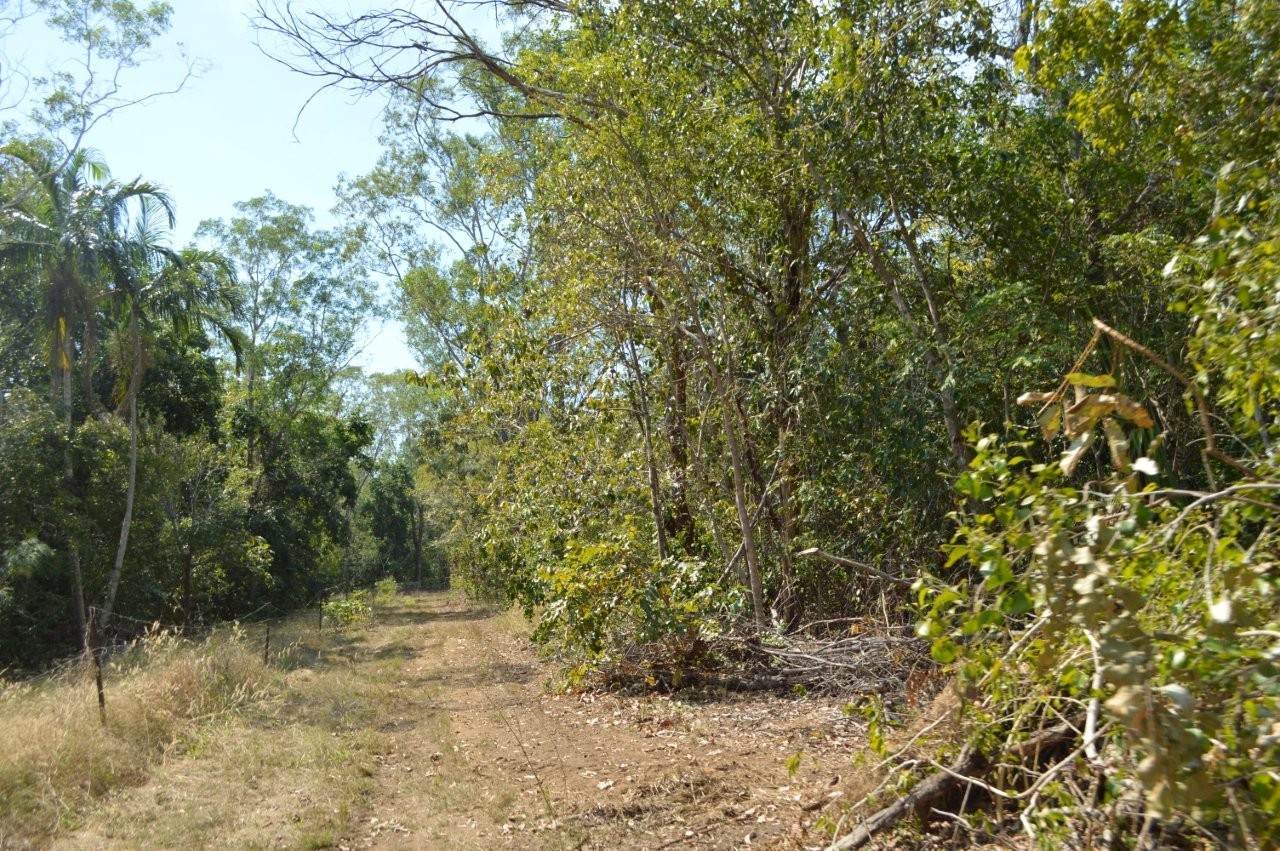 34 Balanda Drive, Dundee Beach For Sale by Farmbuy.com - image 7