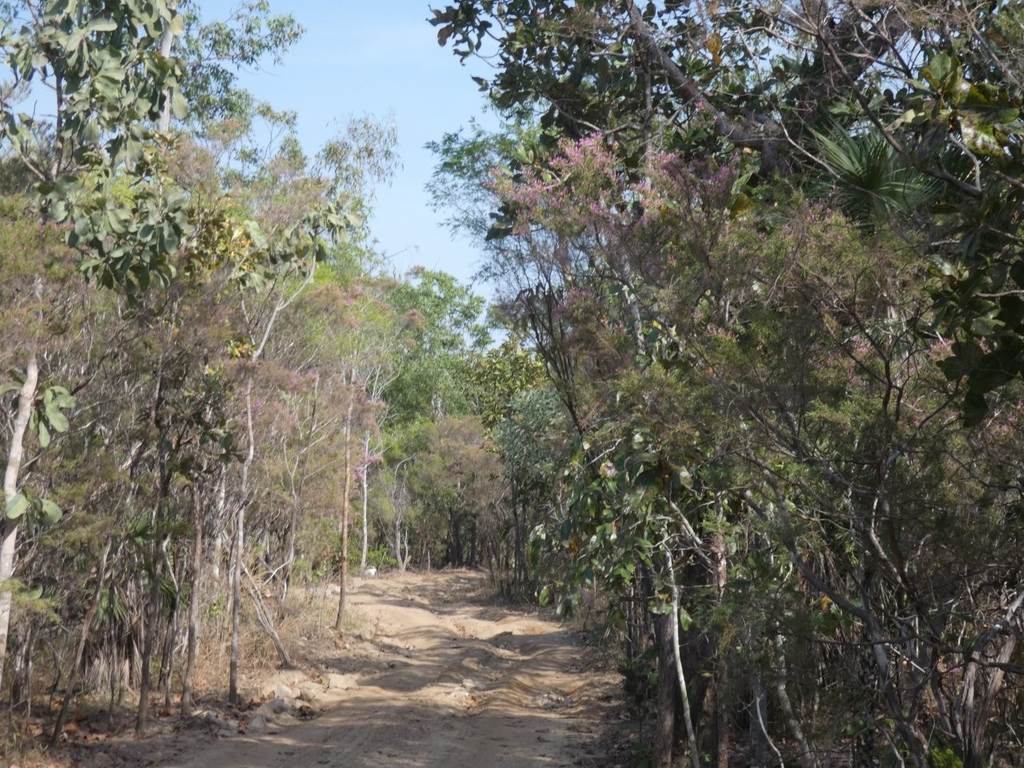 415 Reed Beds Road, Berry Springs NT 0838