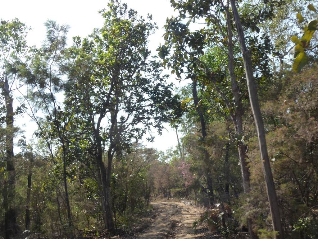 415 Reed Beds Road, Berry Springs NT 0838