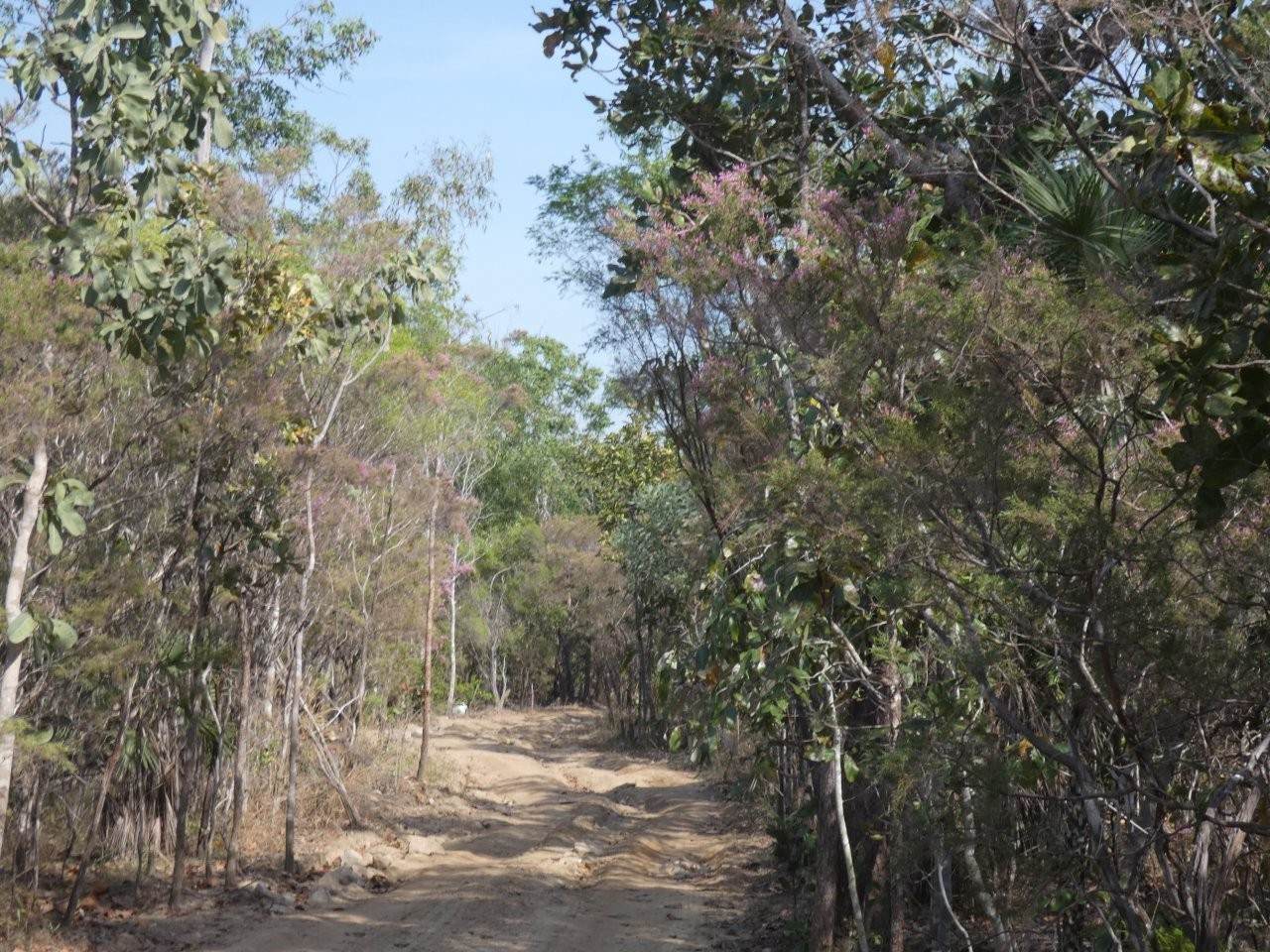 415 Reed Beds Road, Berry Springs For Sale by Farmbuy.com - image 2