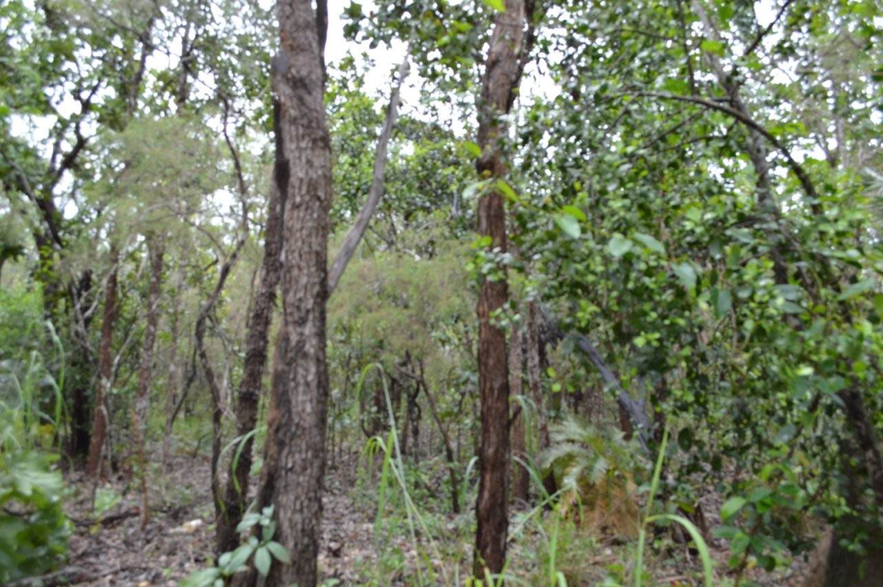 415 Reed Beds Road, Berry Springs For Sale by Farmbuy.com - image 4