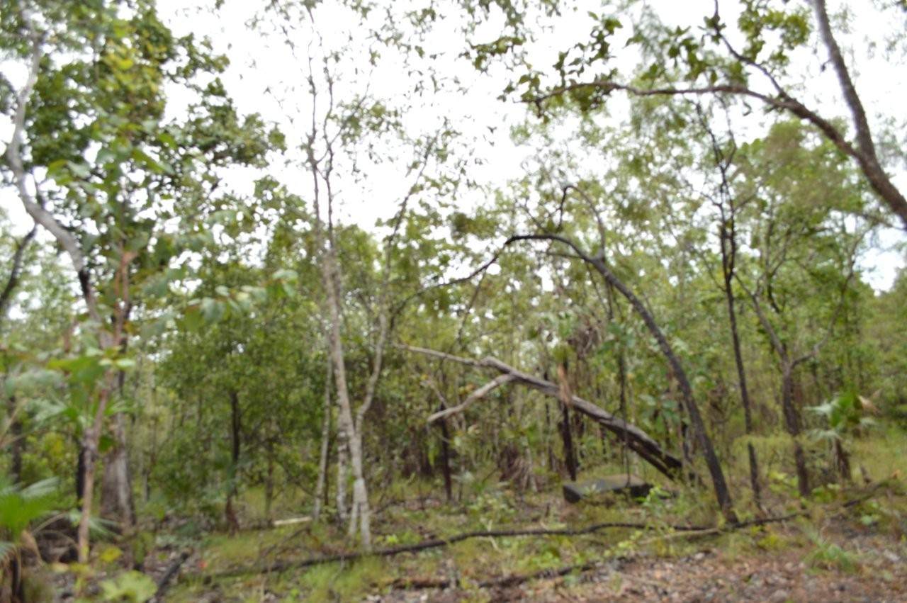 415 Reed Beds Road, Berry Springs For Sale by Farmbuy.com - image 9