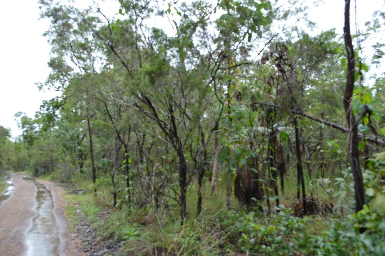 415 Reed Beds Road, Berry Springs For Sale by Farmbuy.com - image 5