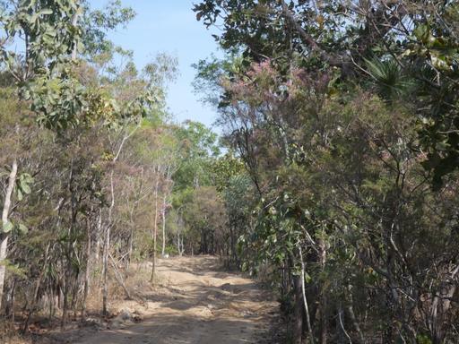 415 Reed Beds Road, Berry Springs NT 0838