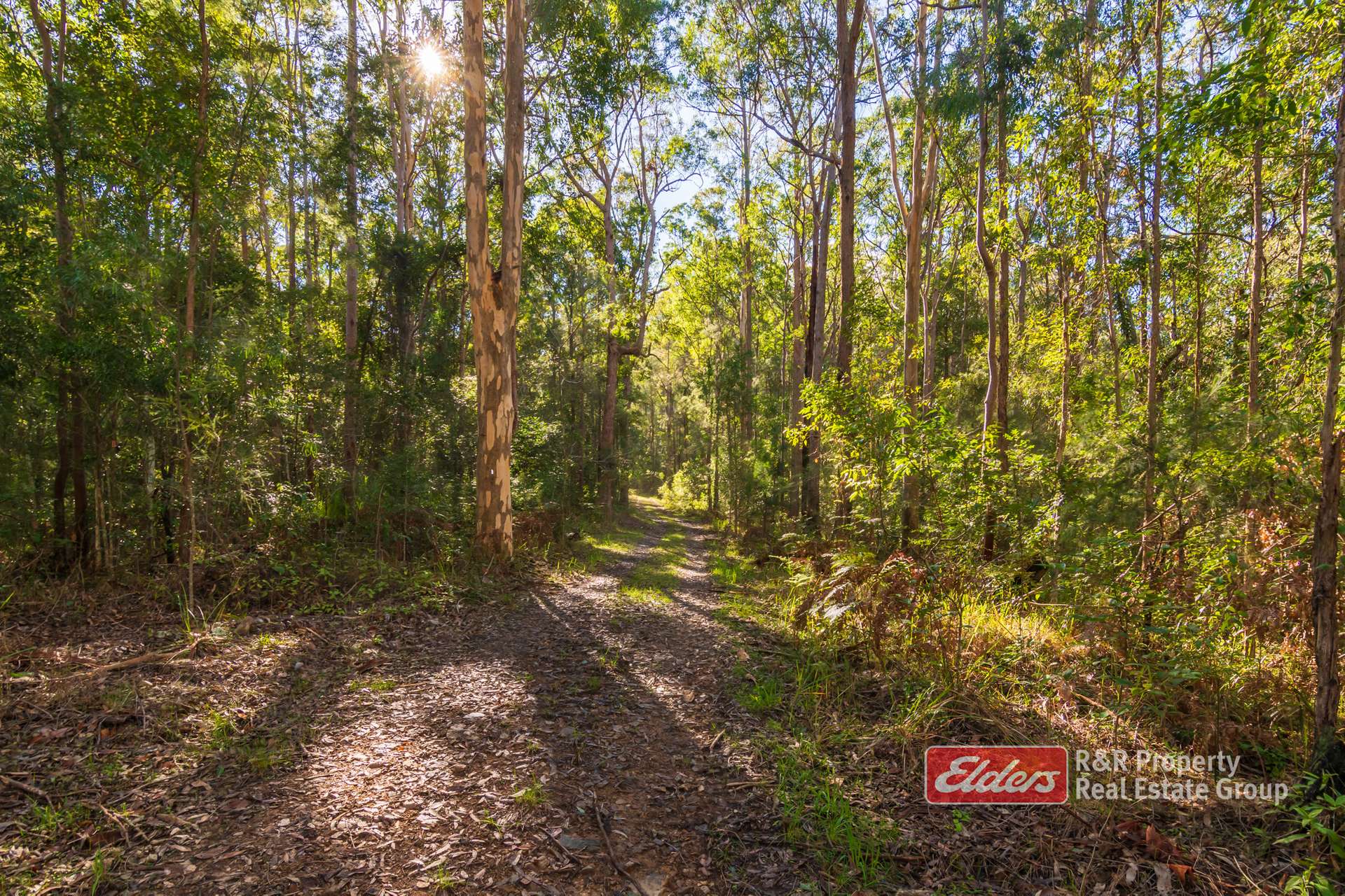115 Suncrest Close, Bulahdelah For Sale by Farmbuy.com - image 12