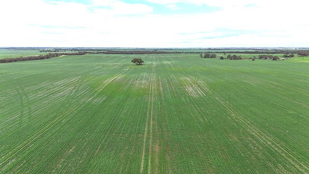 CA 21 Hopetoun&sol;Walpeup Road, Walpeup VIC 3507