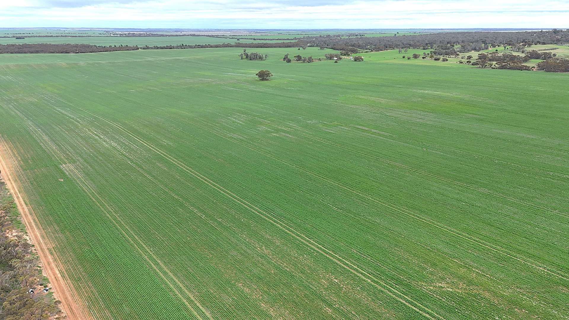 CA 21 Hopetoun/Walpeup Road, Walpeup For Sale by Farmbuy.com - image 3