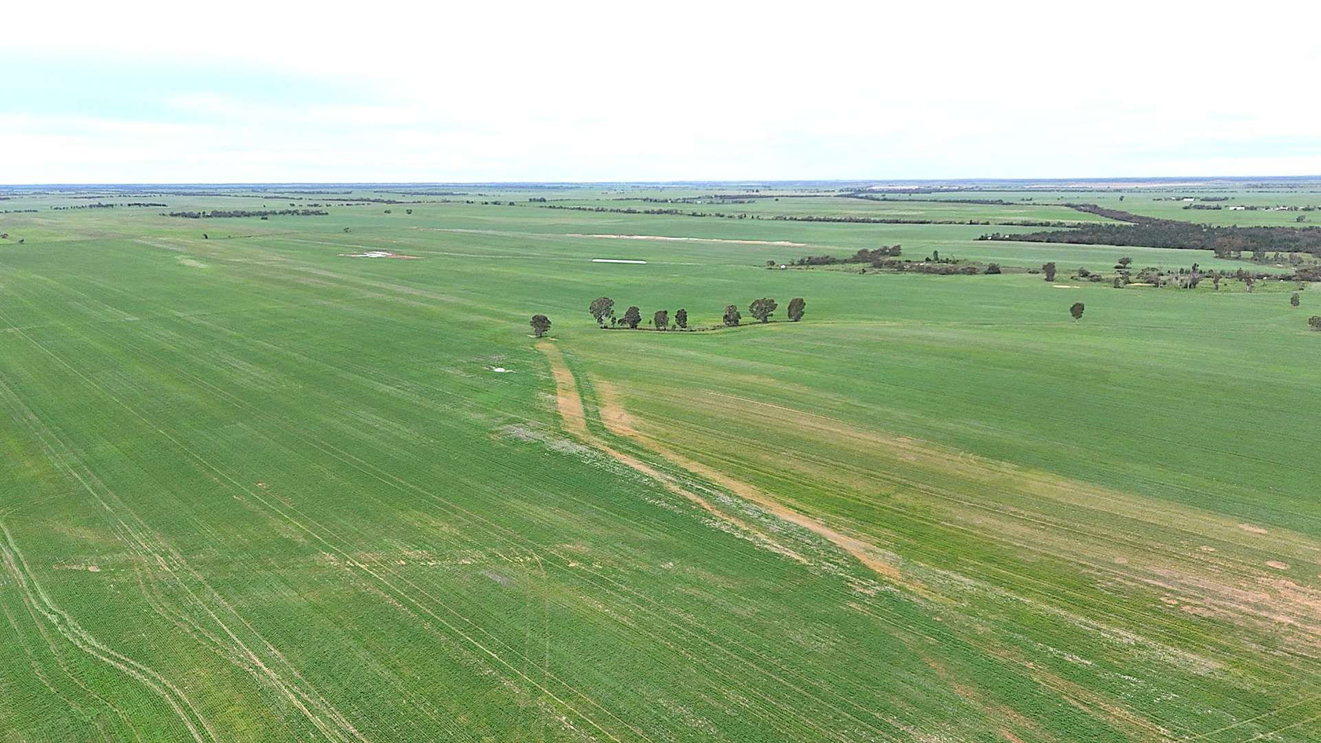 CA 21 Hopetoun/Walpeup Road, Walpeup For Sale by Farmbuy.com - image 7