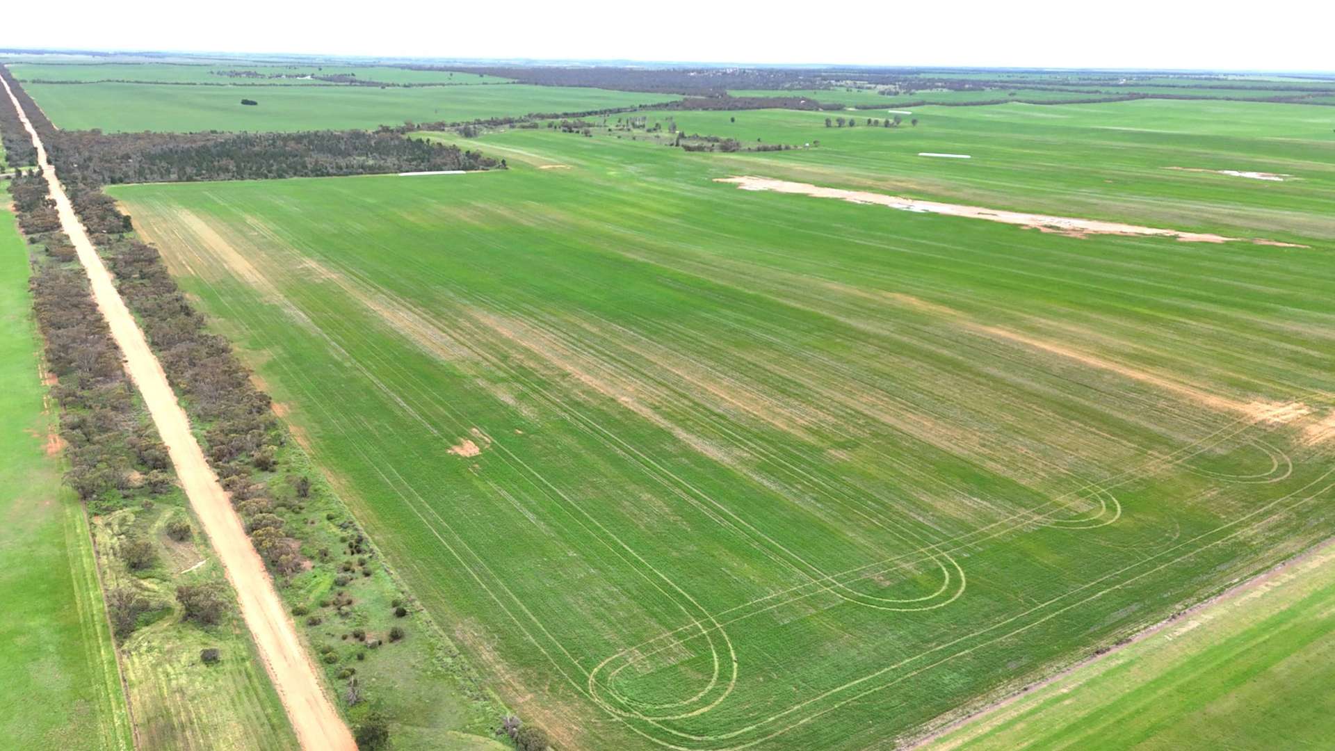 CA 21 Hopetoun/Walpeup Road, Walpeup For Sale by Farmbuy.com - image 5