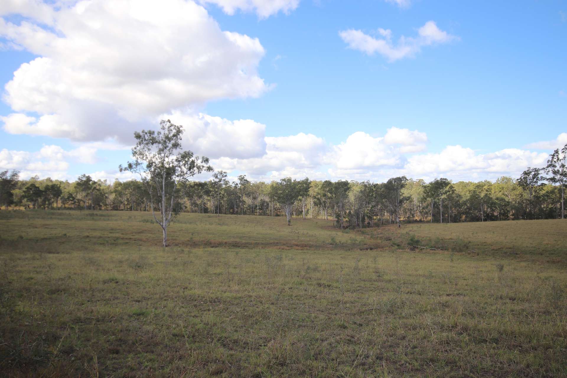 Lot 43 And Lot 50 Kalliwa Road, Mingo, Gayndah For Sale by Farmbuy.com - image 11