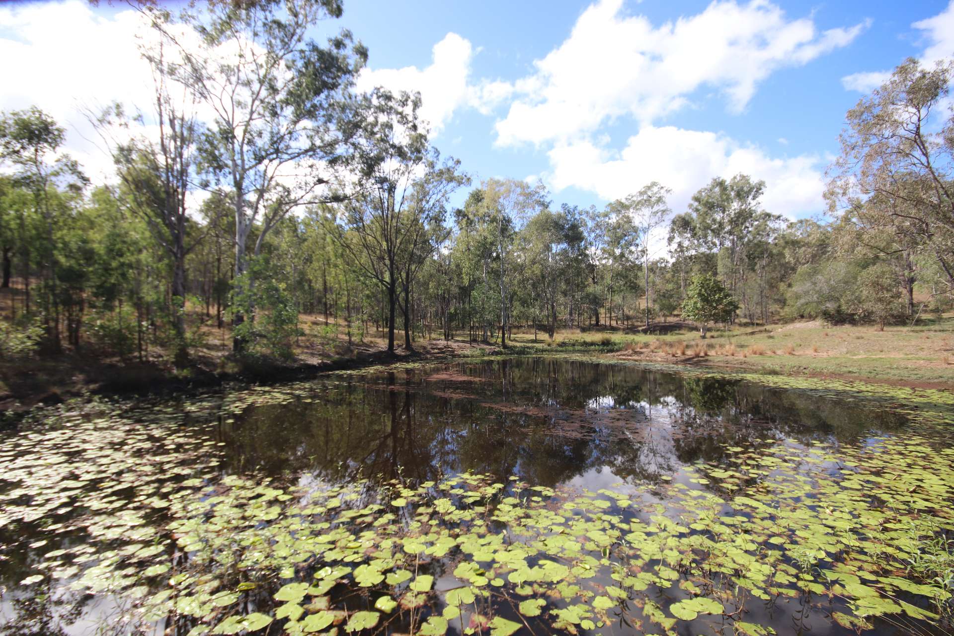 Lot 43 And Lot 50 Kalliwa Road, Mingo, Gayndah For Sale by Farmbuy.com - image 5