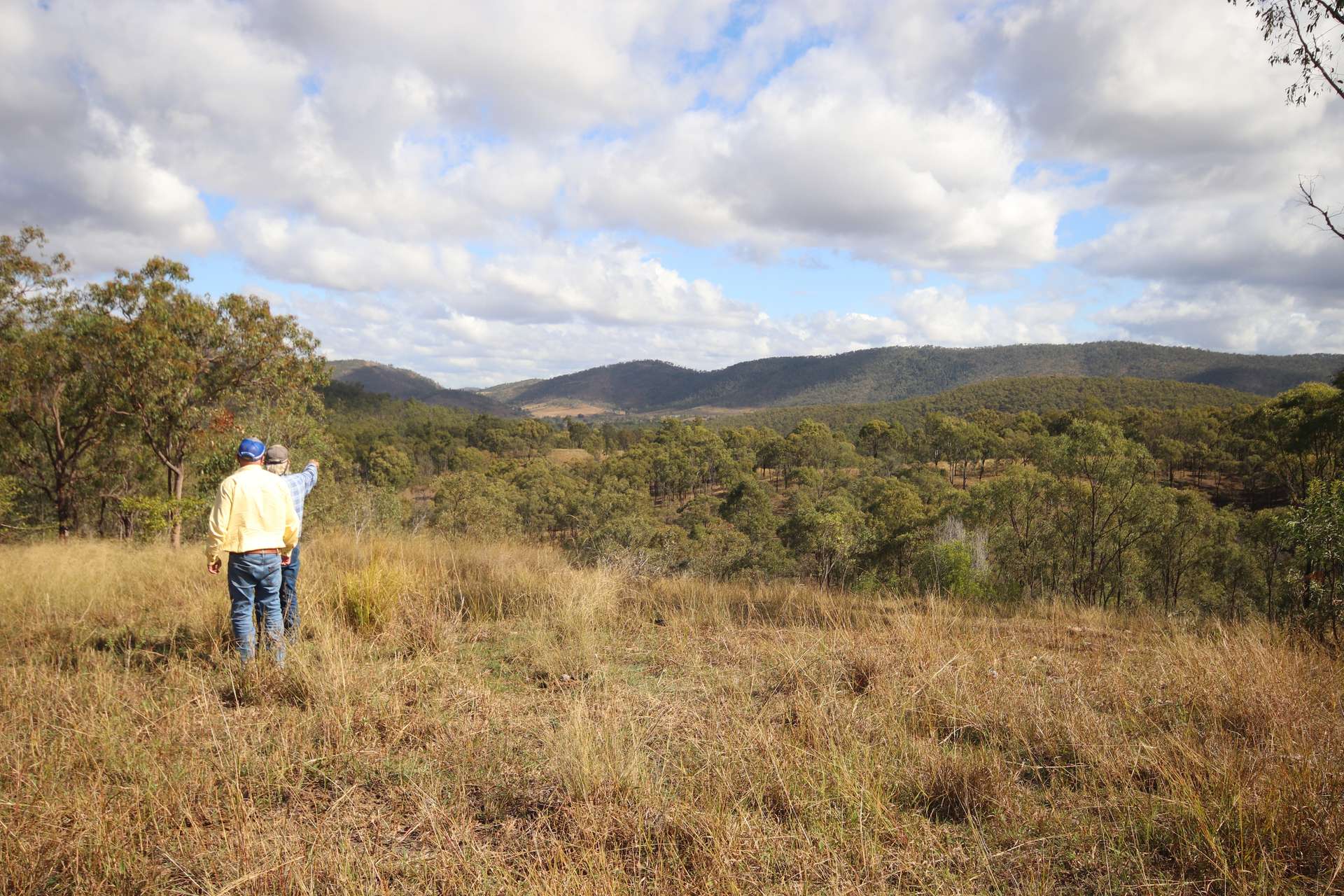 Lot 43 And Lot 50 Kalliwa Road, Mingo, Gayndah For Sale by Farmbuy.com - image 1