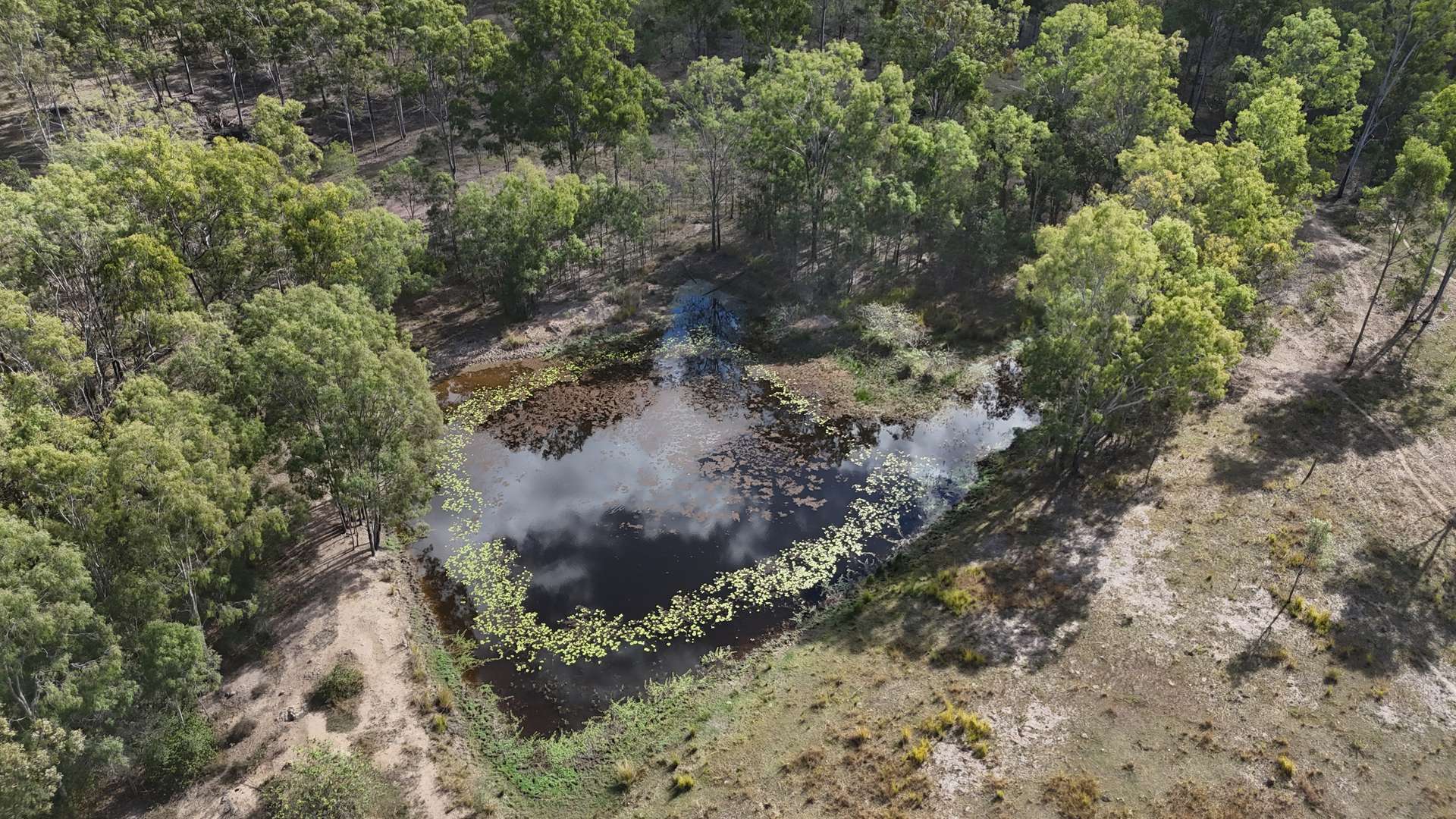 Lot 43 And Lot 50 Kalliwa Road, Mingo, Gayndah For Sale by Farmbuy.com - image 8