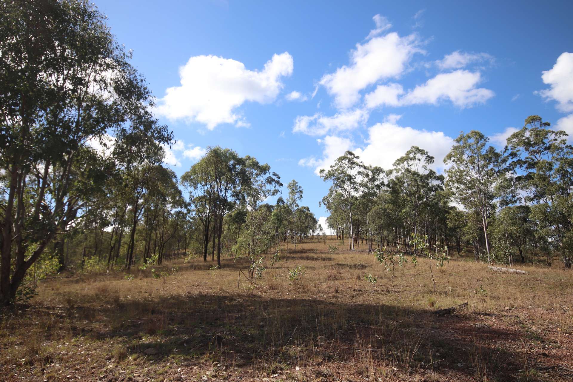 Lot 43 And Lot 50 Kalliwa Road, Mingo, Gayndah For Sale by Farmbuy.com - image 7