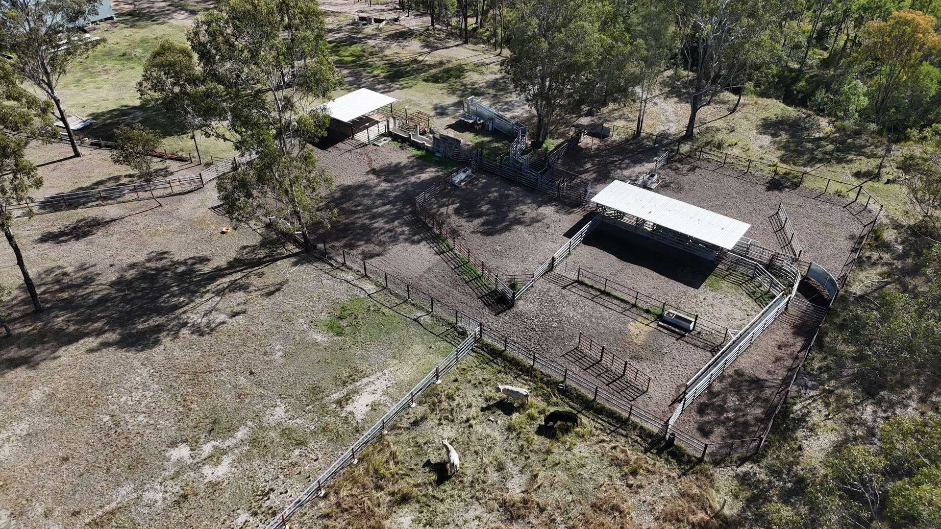 Lot 43 And Lot 50 Kalliwa Road, Mingo, Gayndah For Sale by Farmbuy.com - image 14