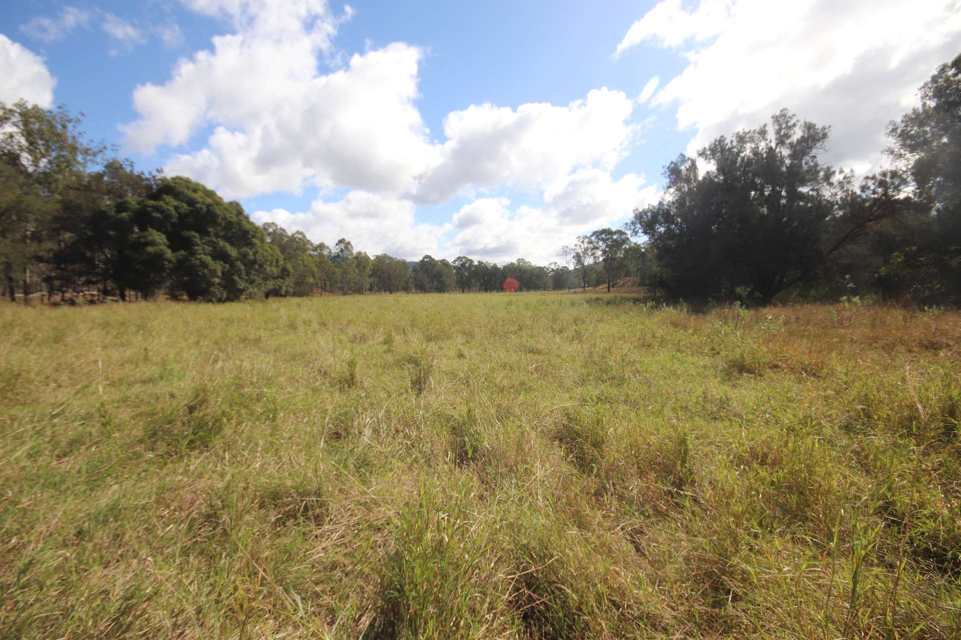 Lot 43 And Lot 50 Kalliwa Road, Mingo, Gayndah For Sale by Farmbuy.com - image 3
