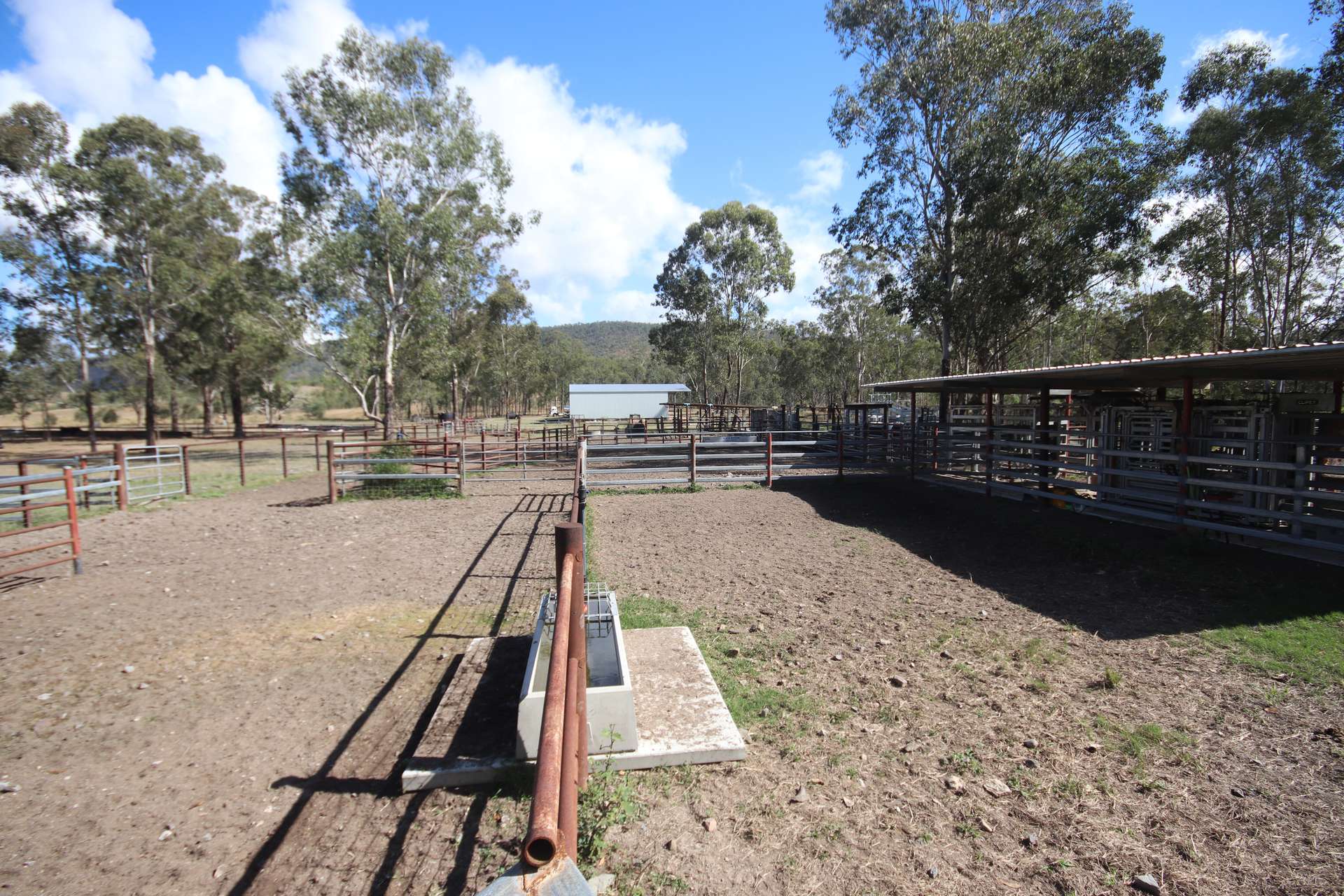 Lot 43 And Lot 50 Kalliwa Road, Mingo, Gayndah For Sale by Farmbuy.com - image 16
