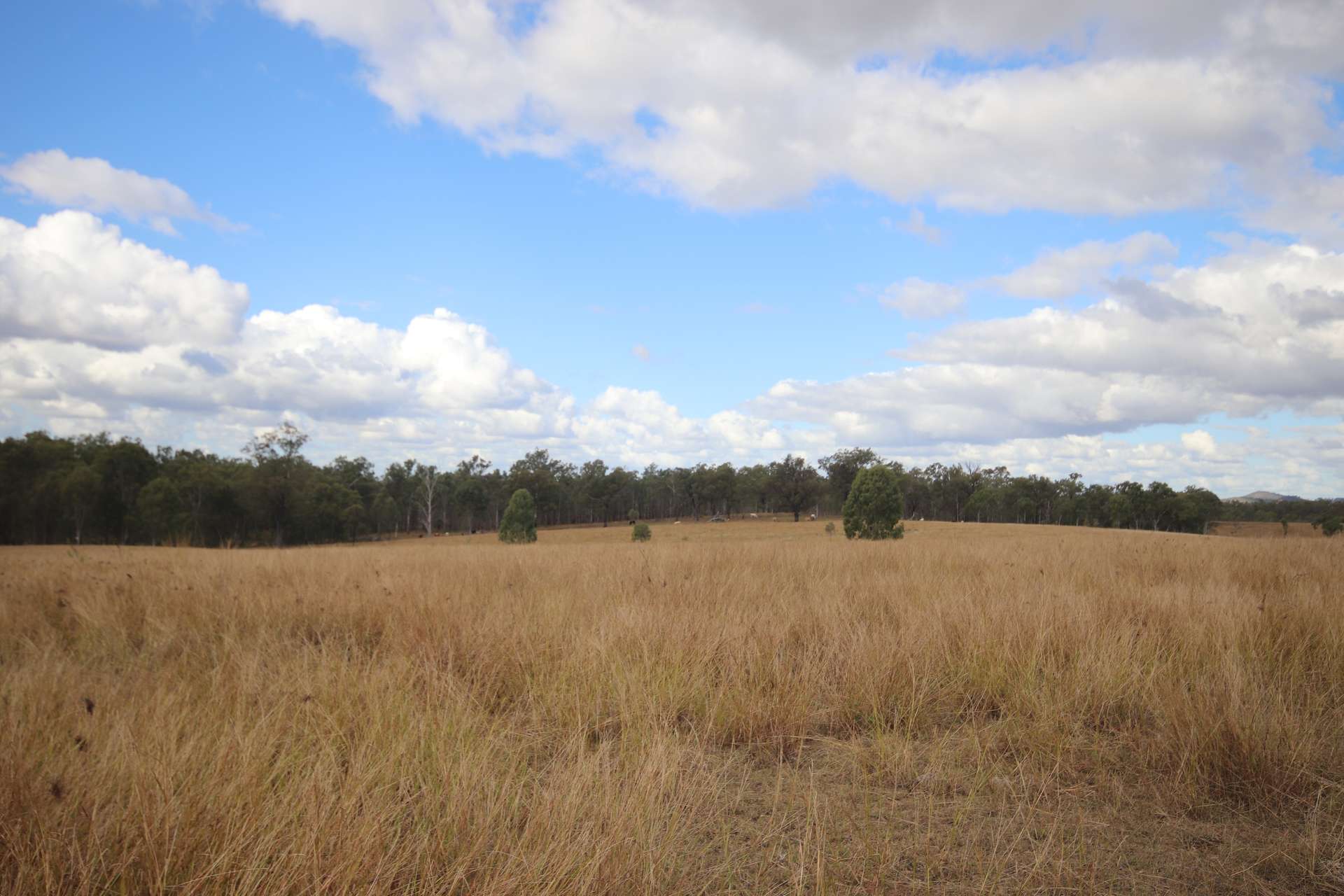Lot 43 And Lot 50 Kalliwa Road, Mingo, Gayndah For Sale by Farmbuy.com - image 4