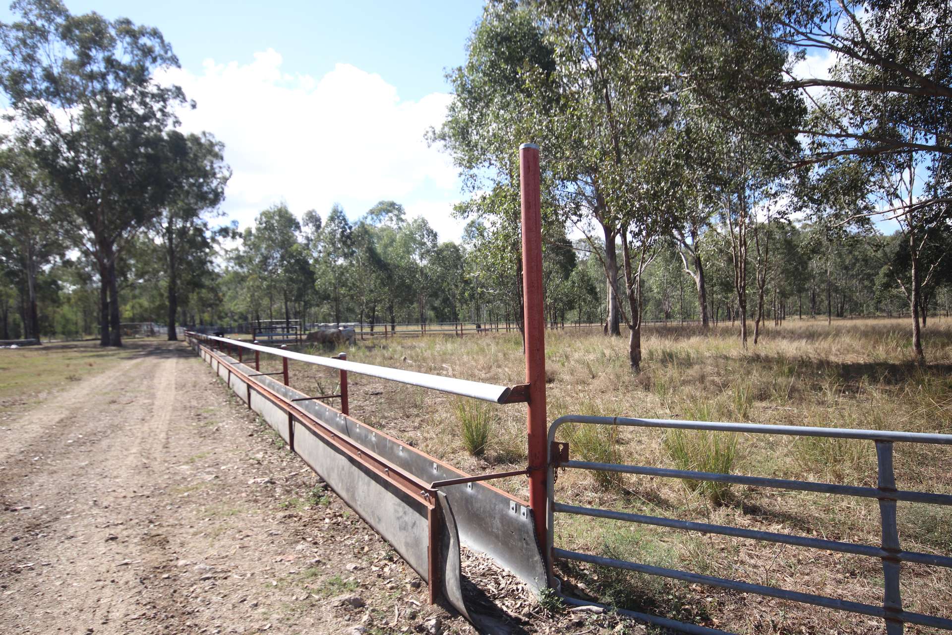 Lot 43 And Lot 50 Kalliwa Road, Mingo, Gayndah For Sale by Farmbuy.com - image 18