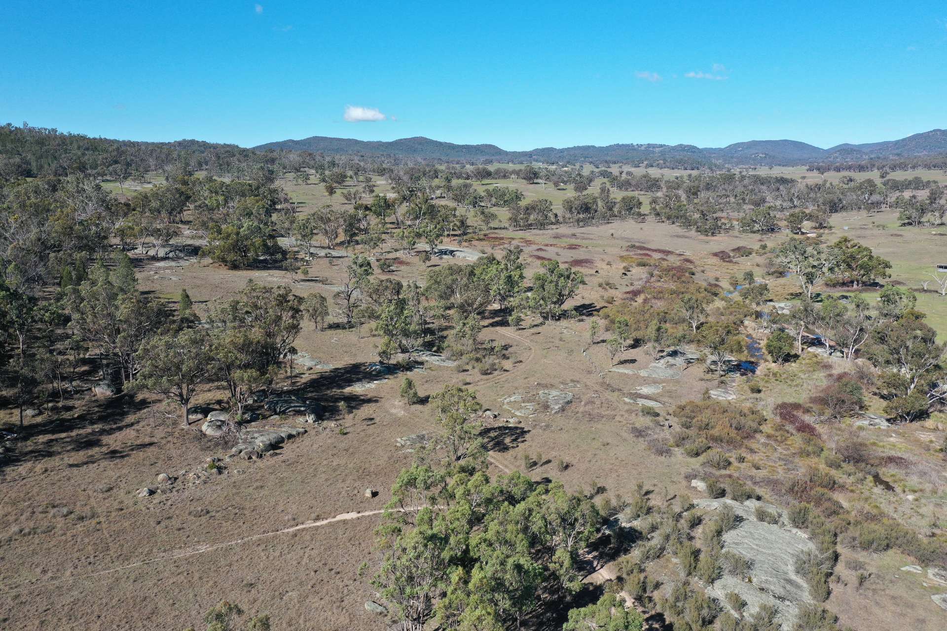 1322 Danehurst Road, Bendemeer For Sale by Farmbuy.com - image 18