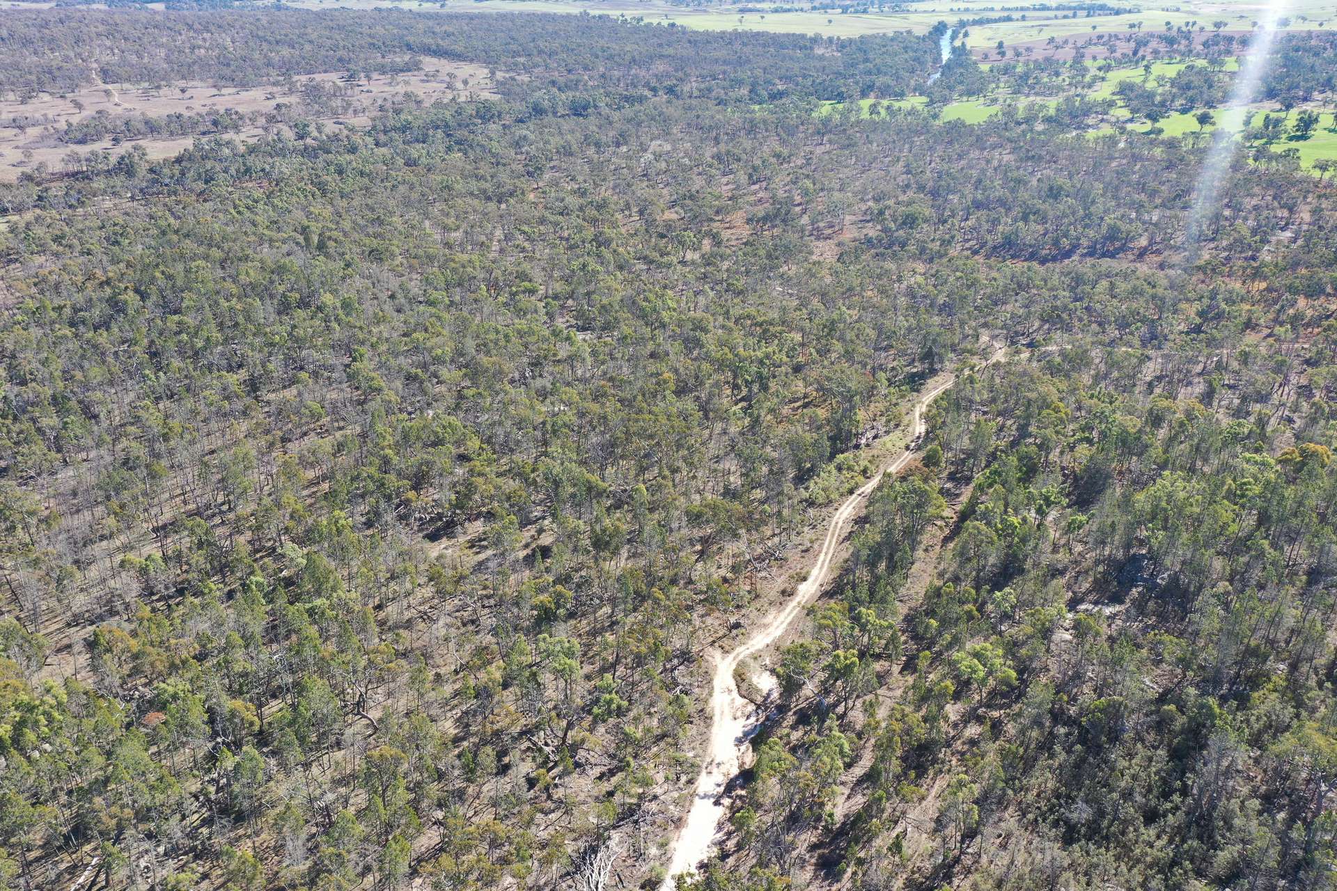 1322 Danehurst Road, Bendemeer For Sale by Farmbuy.com - image 17