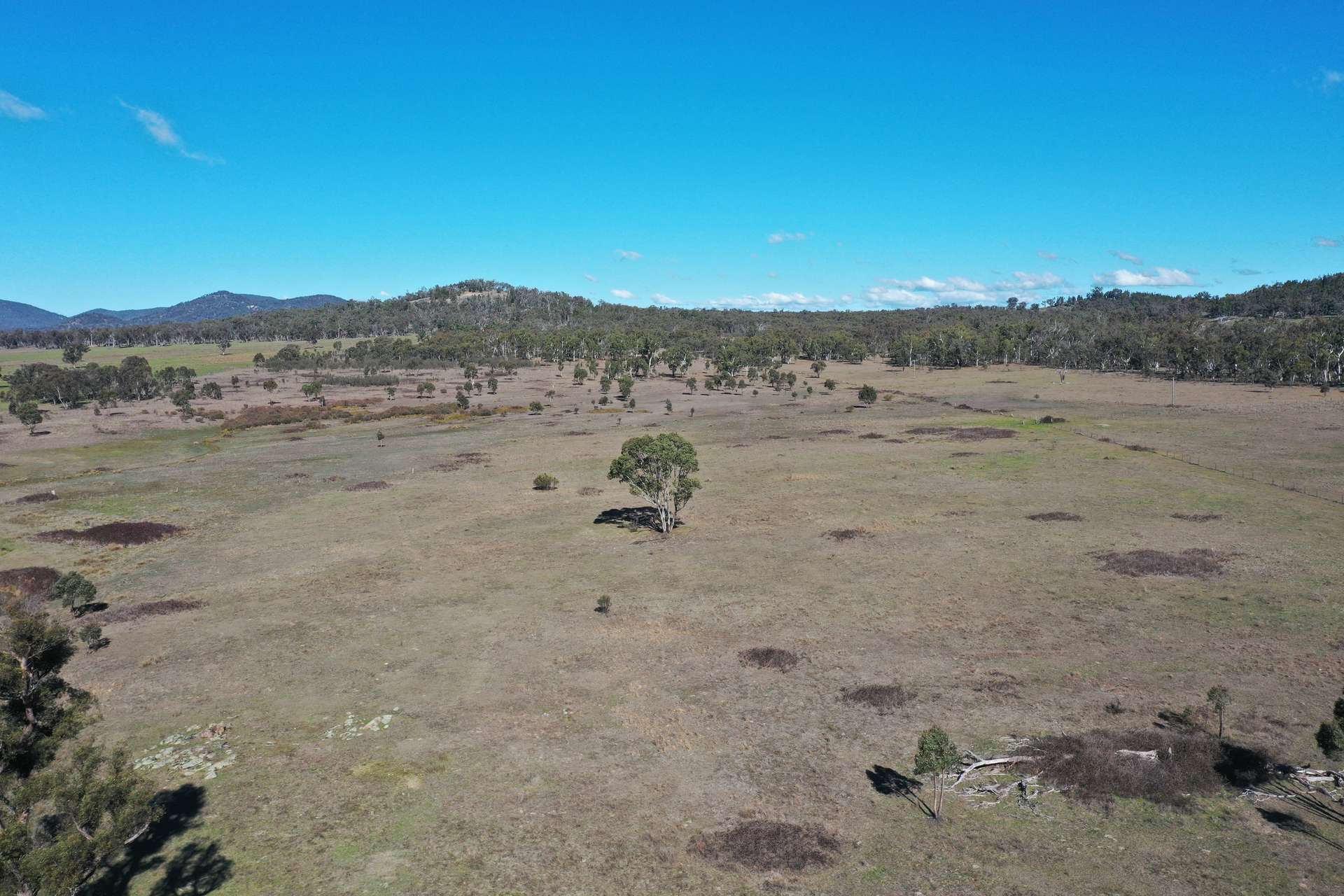 1322 Danehurst Road, Bendemeer For Sale by Farmbuy.com - image 10