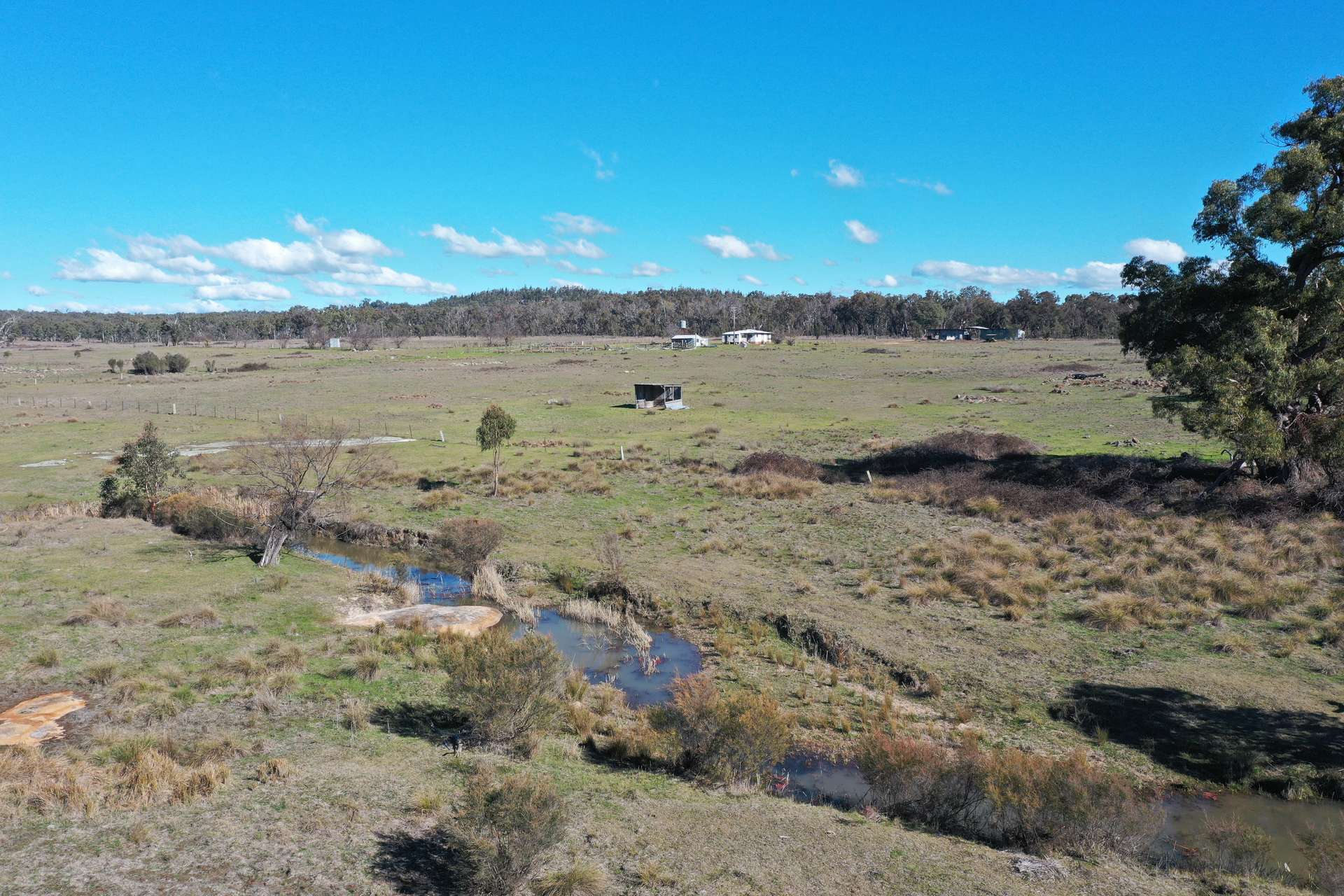 1322 Danehurst Road, Bendemeer For Sale by Farmbuy.com - image 3