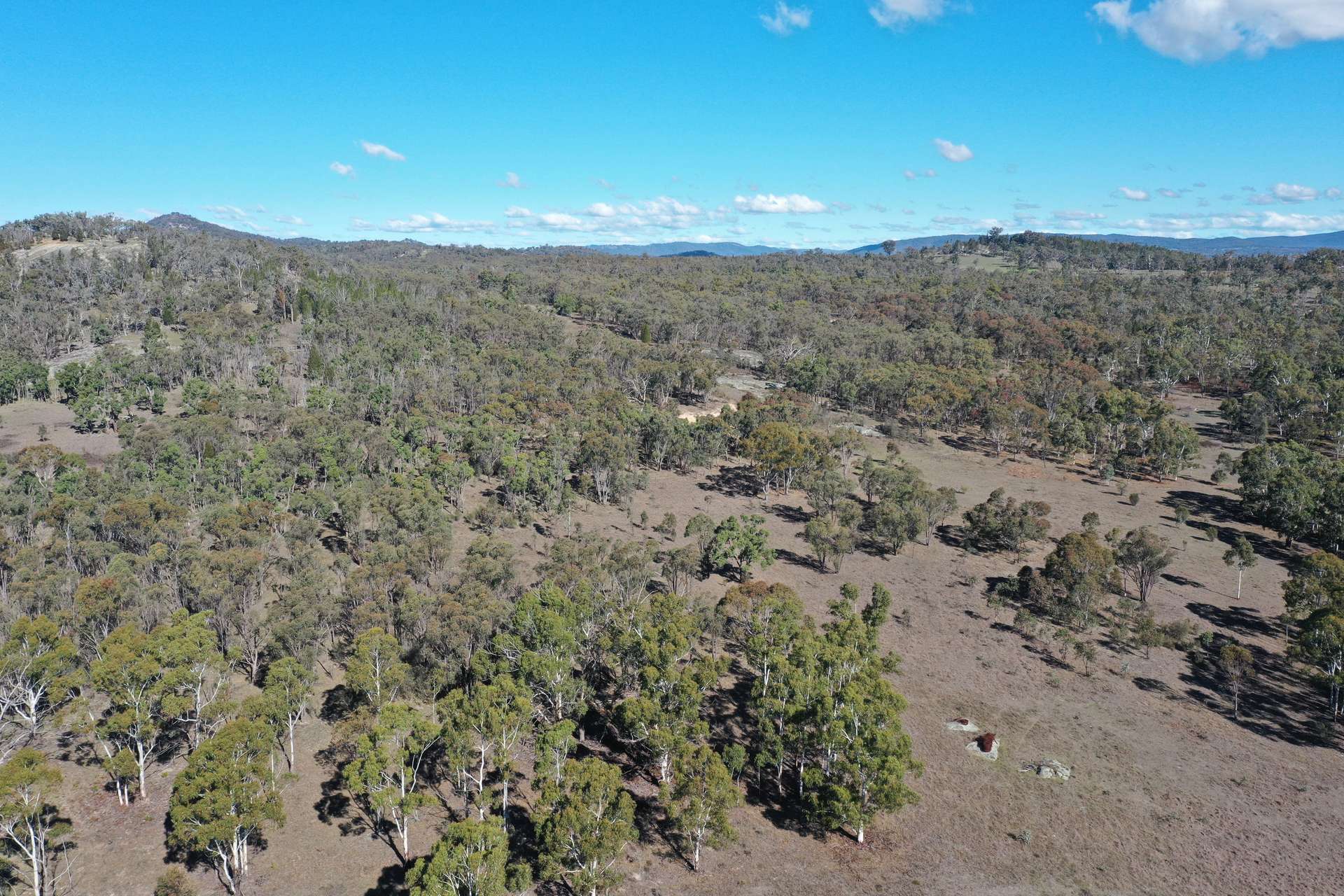 1322 Danehurst Road, Bendemeer For Sale by Farmbuy.com - image 14