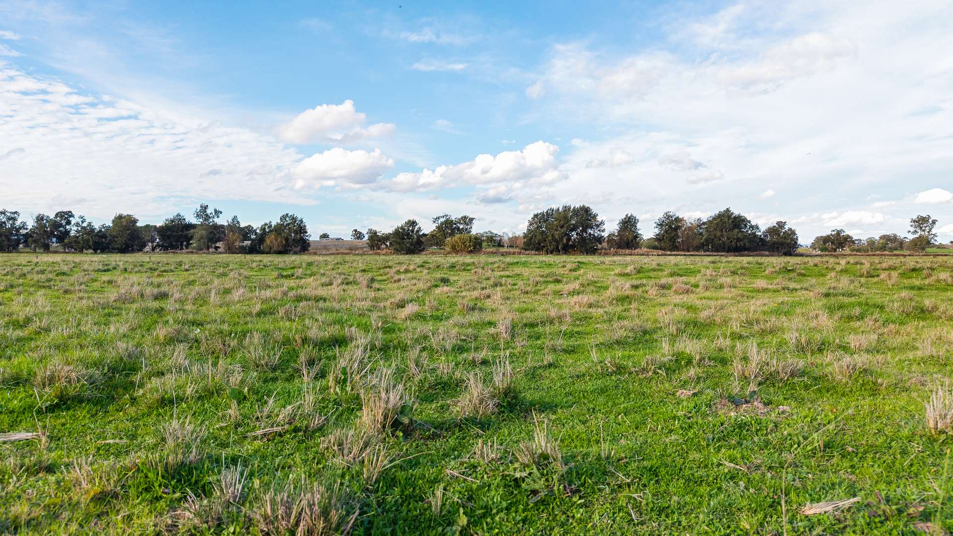 14628 New England Highway, Tamworth Auction by Farmbuy.com - image 9