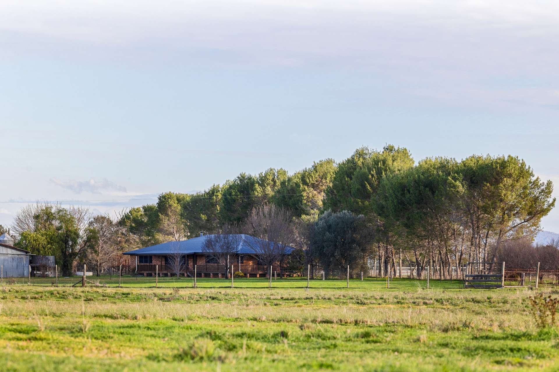 14628 New England Highway, Tamworth Auction by Farmbuy.com - image 11
