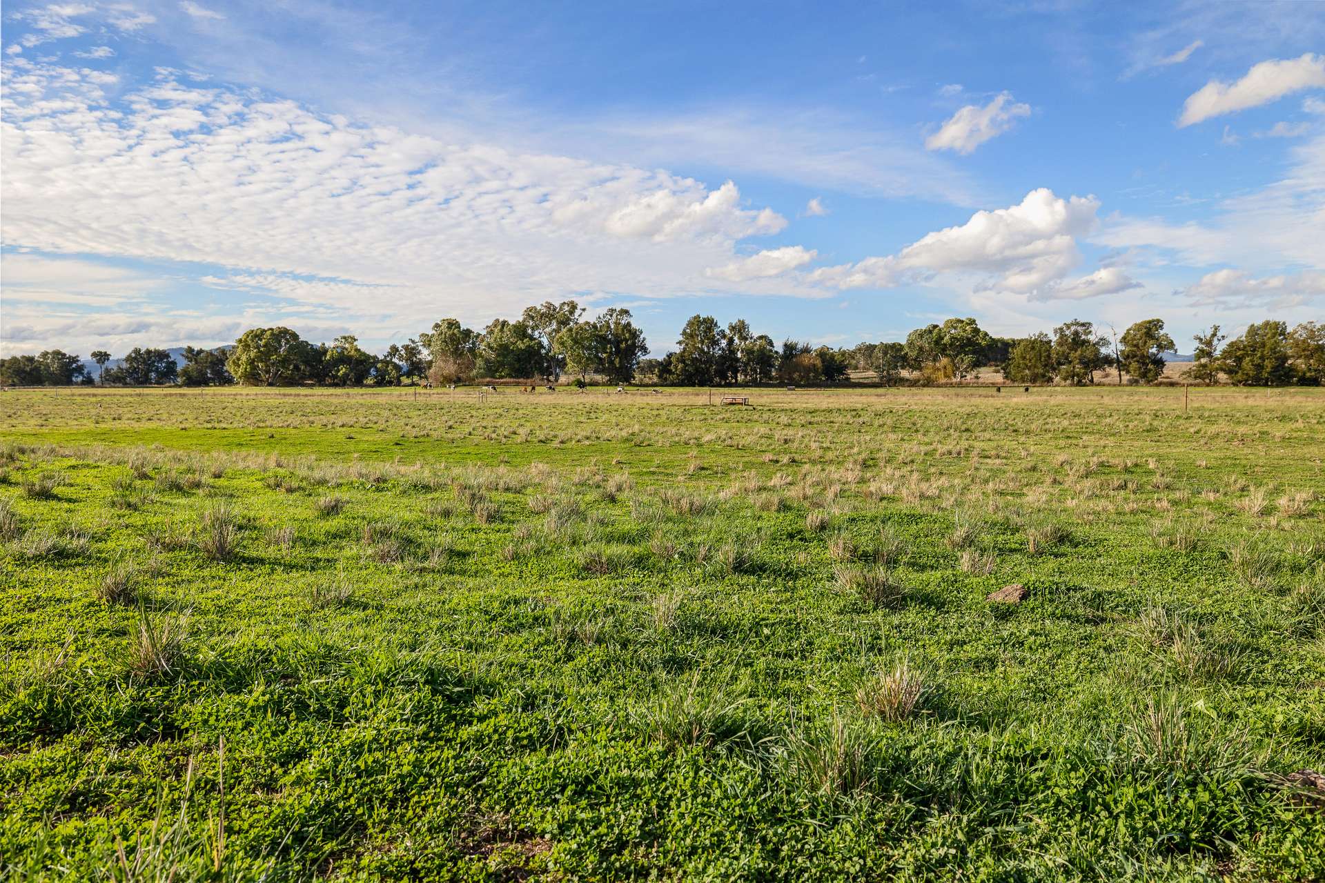 14628 New England Highway, Tamworth Auction by Farmbuy.com - image 16