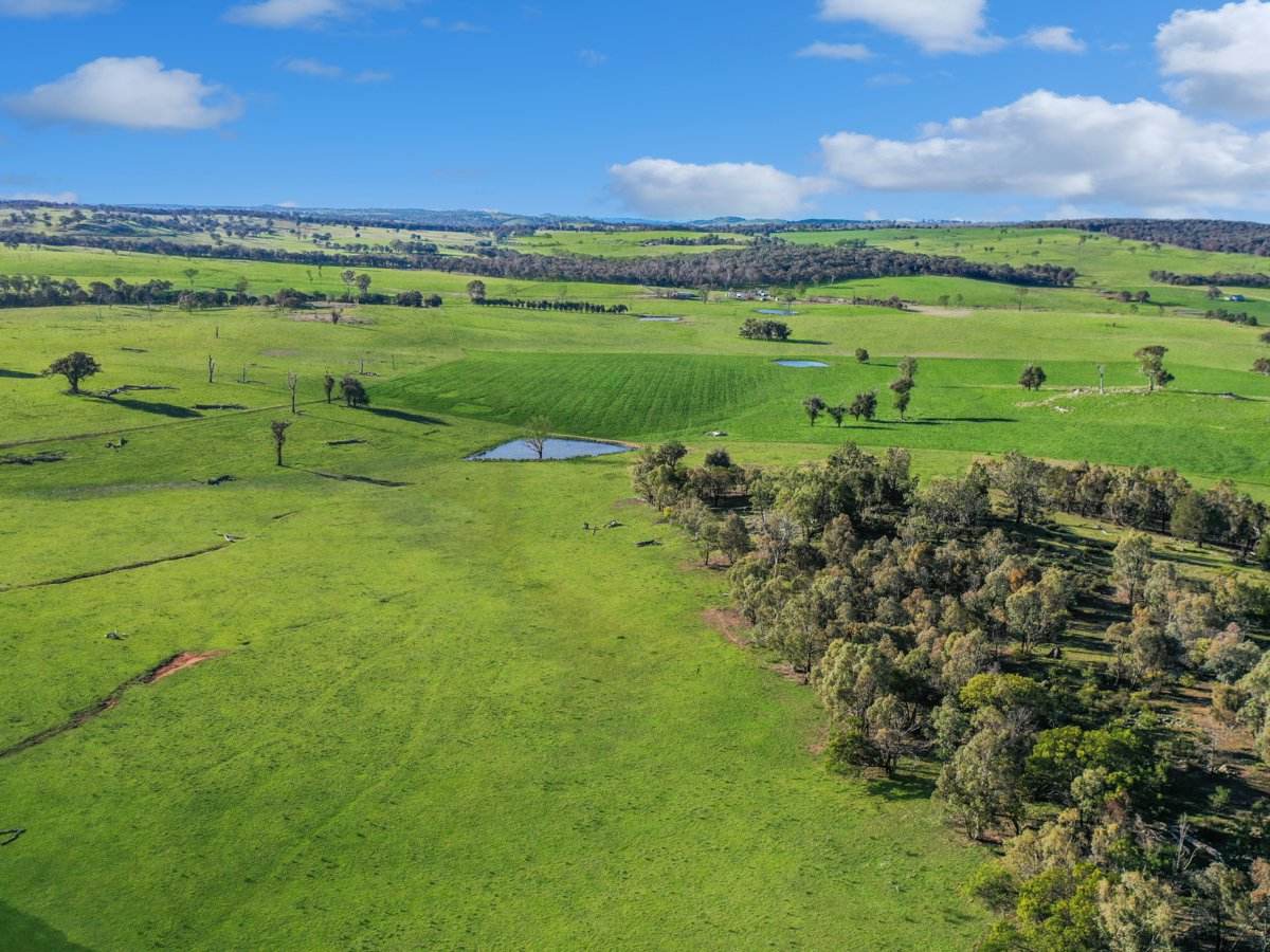 540 Heathfield Road, Boorowa For Sale by Farmbuy.com - image 24
