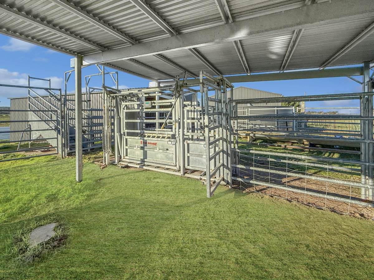 540 Heathfield Road, Boorowa For Sale by Farmbuy.com - image 22