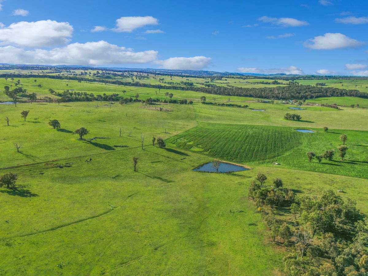 540 Heathfield Road, Boorowa For Sale by Farmbuy.com - image 19