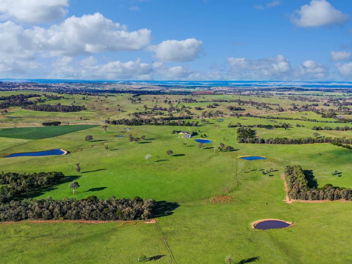 540 Heathfield Road, Boorowa For Sale by Farmbuy.com - image 12