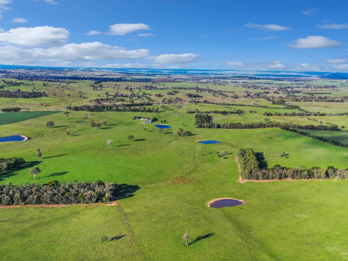 540 Heathfield Road, Boorowa For Sale by Farmbuy.com - image 11
