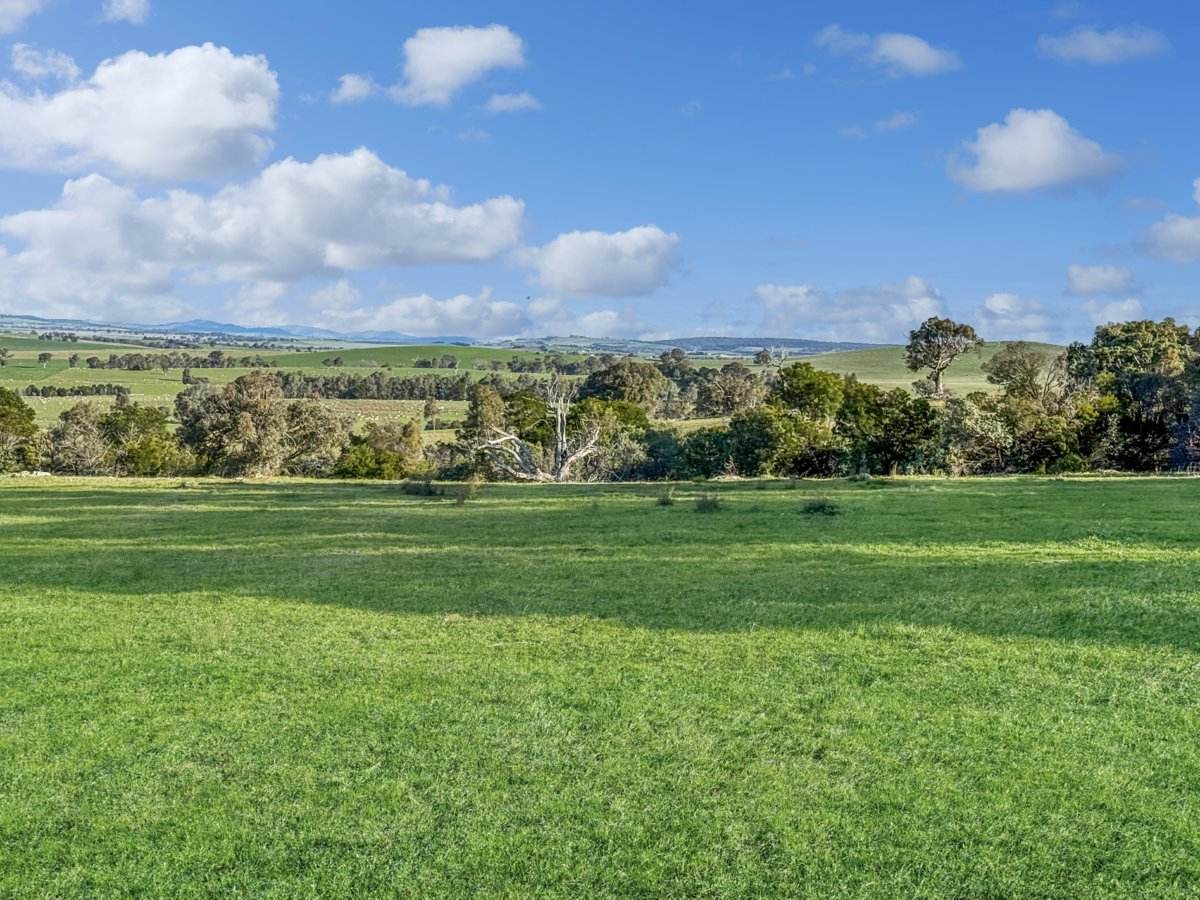 540 Heathfield Road, Boorowa For Sale by Farmbuy.com - image 25