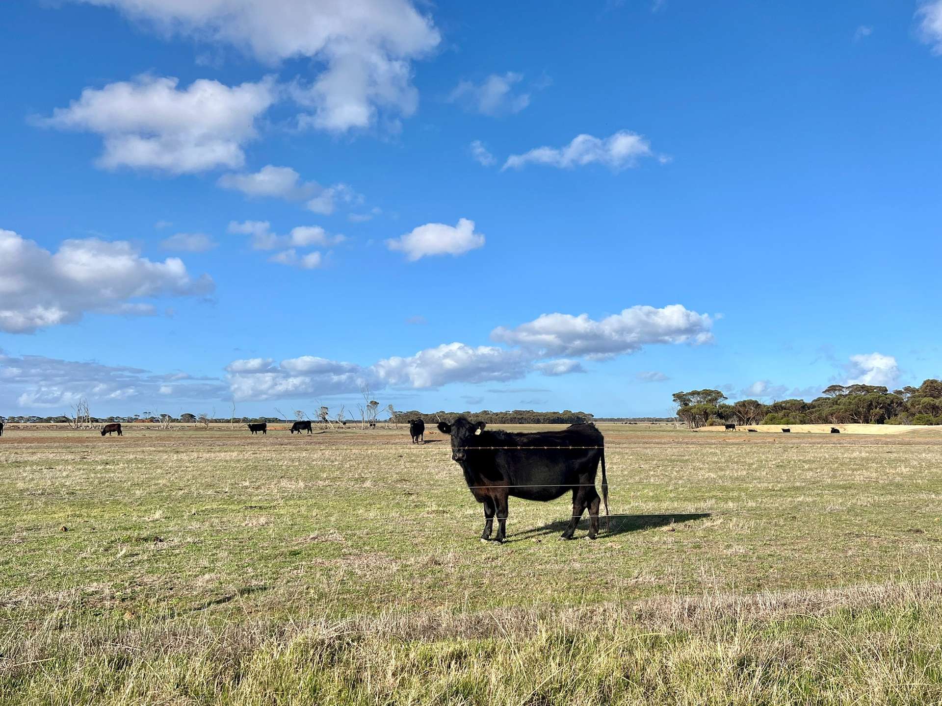 282 Devils Creek South Road, Bremer Bay For Sale by Farmbuy.com - image 7