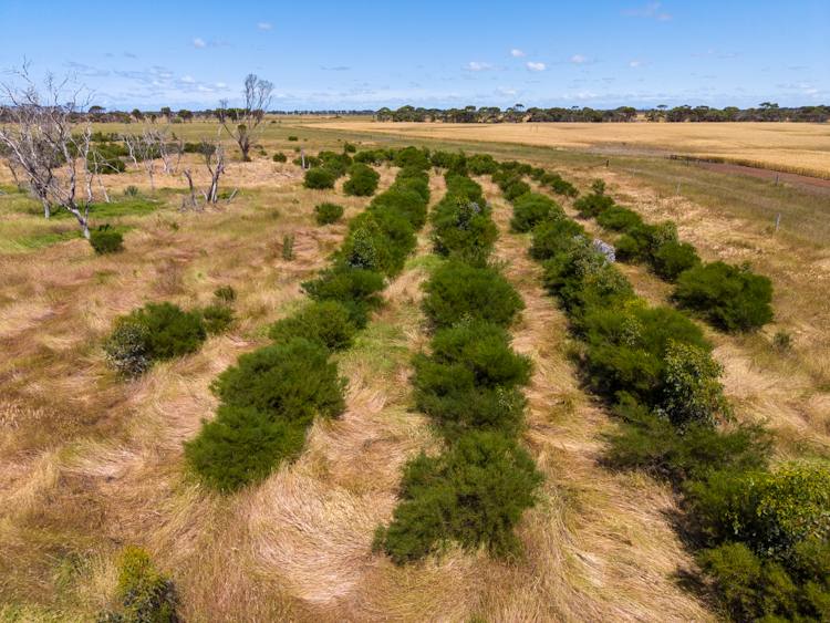282 Devils Creek South Road, Bremer Bay For Sale by Farmbuy.com - image 4