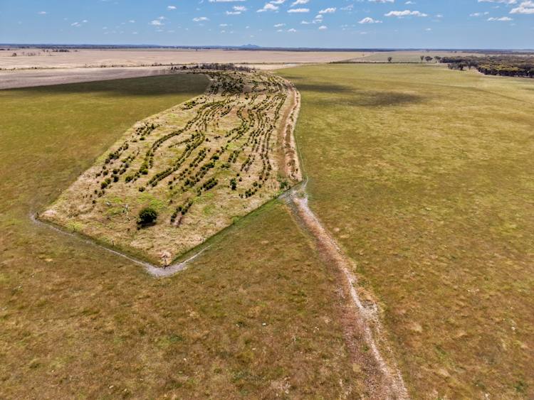 282 Devils Creek South Road, Bremer Bay For Sale by Farmbuy.com - image 3