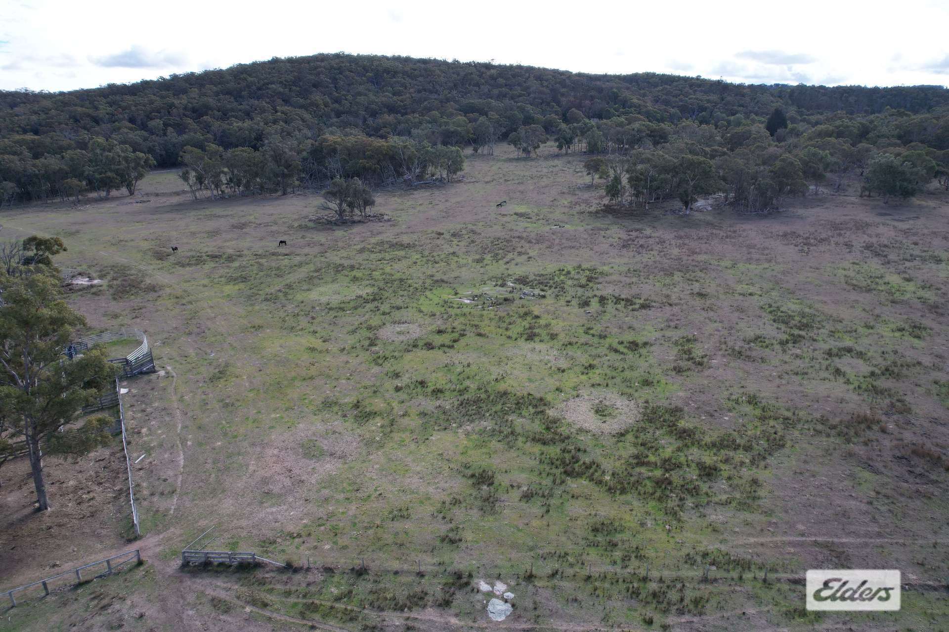 67 Dunn Road, Stanthorpe For Sale by Farmbuy.com - image 6