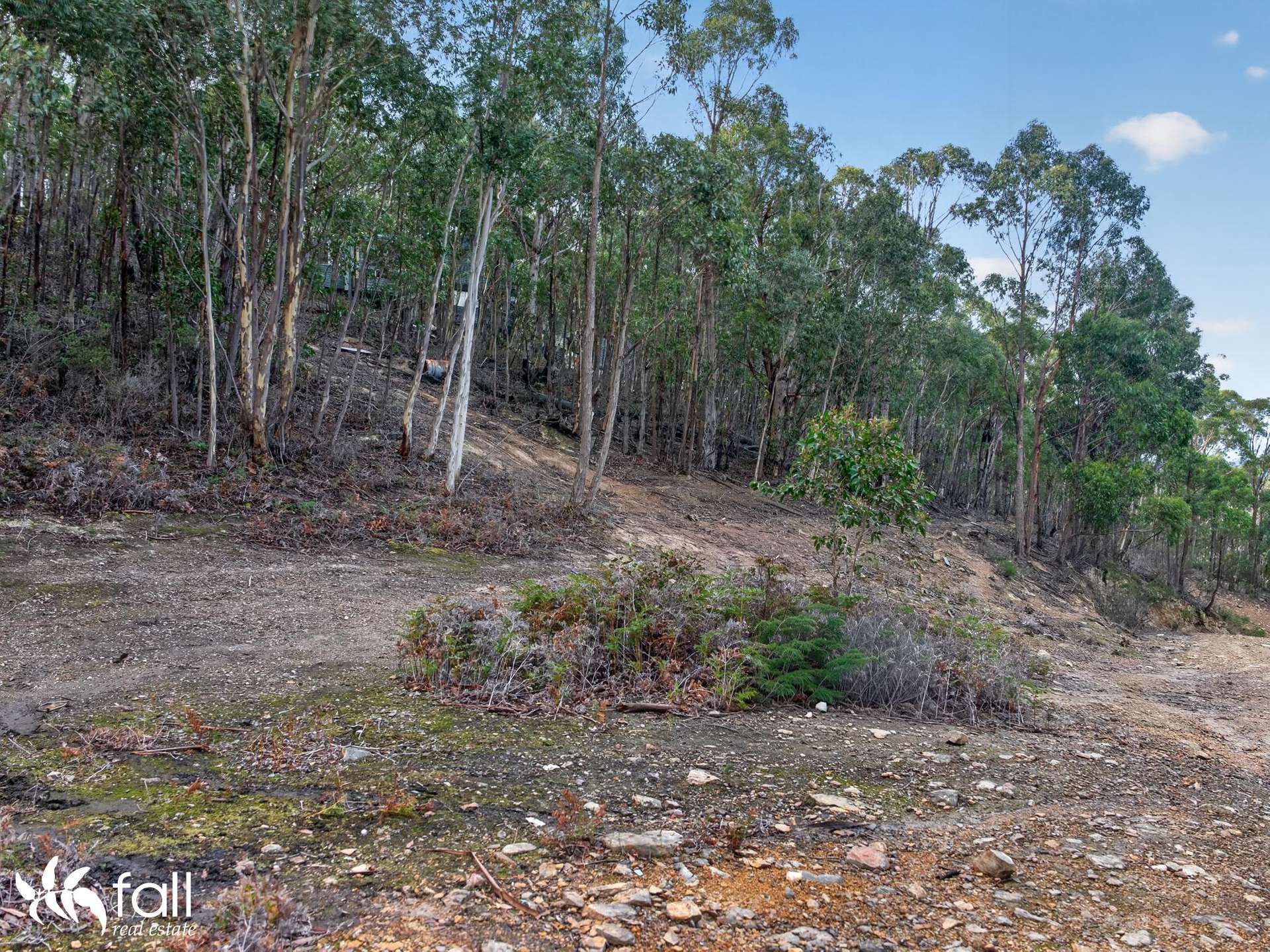 162 Toffolis Road, Claremont For Sale by Farmbuy.com - image 19