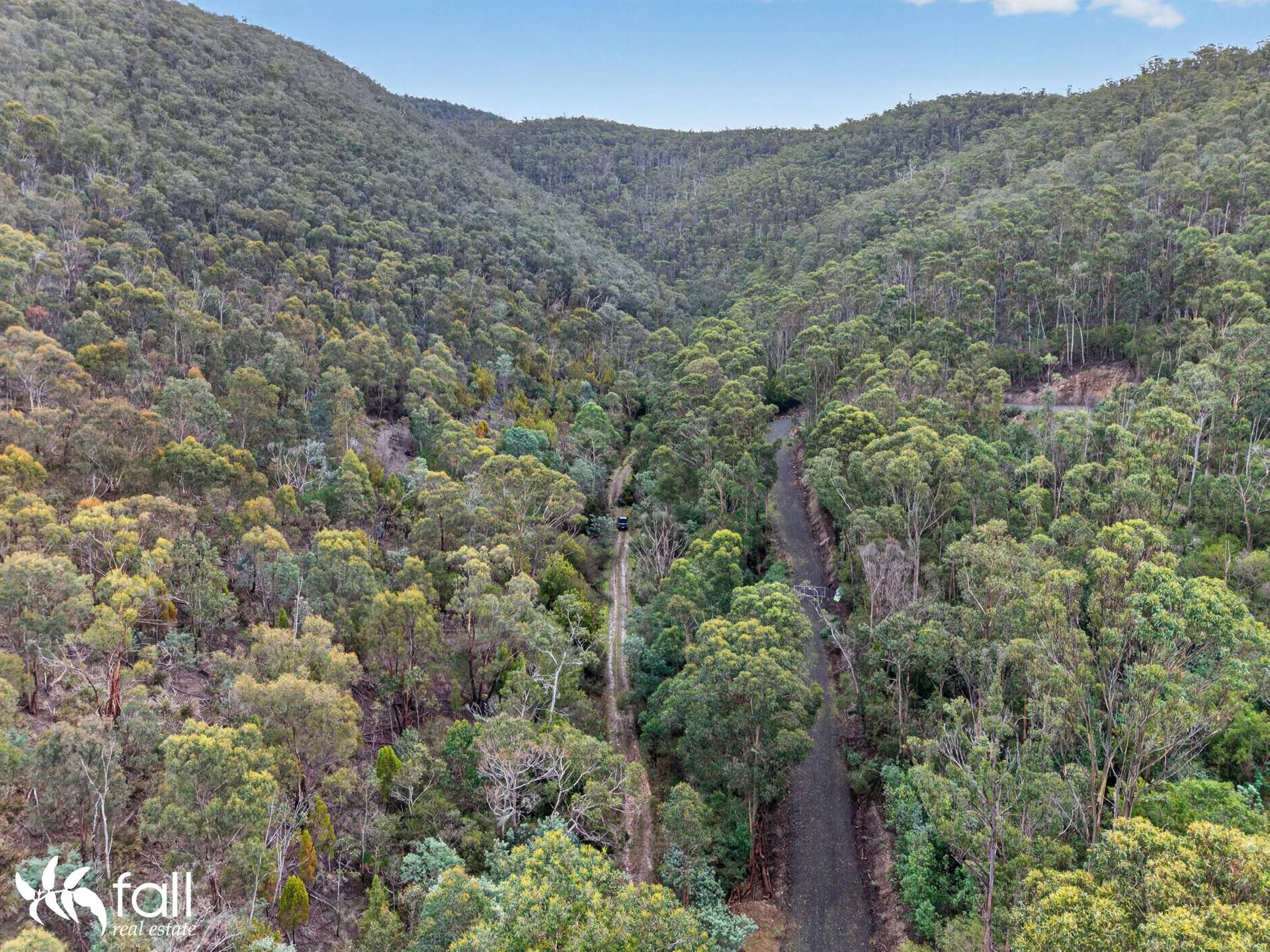 162 Toffolis Road, Claremont For Sale by Farmbuy.com - image 3